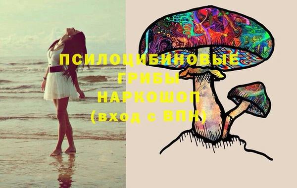 альфа пвп Новокубанск