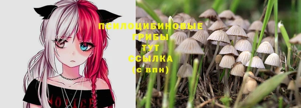соль ск Абдулино
